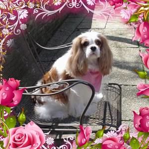 Meet your Posher, Marsha